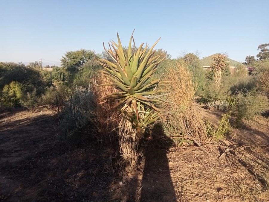 0 Bedroom Property for Sale in Koringberg Western Cape